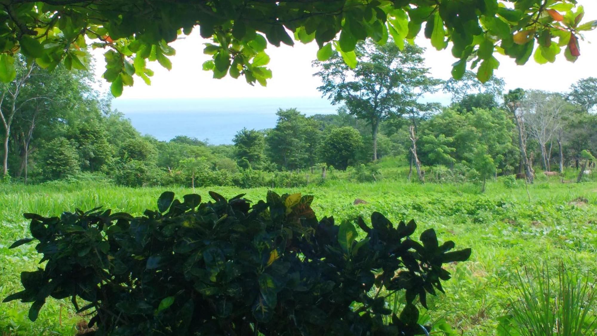 Finca Mystica Mérida Rum bild