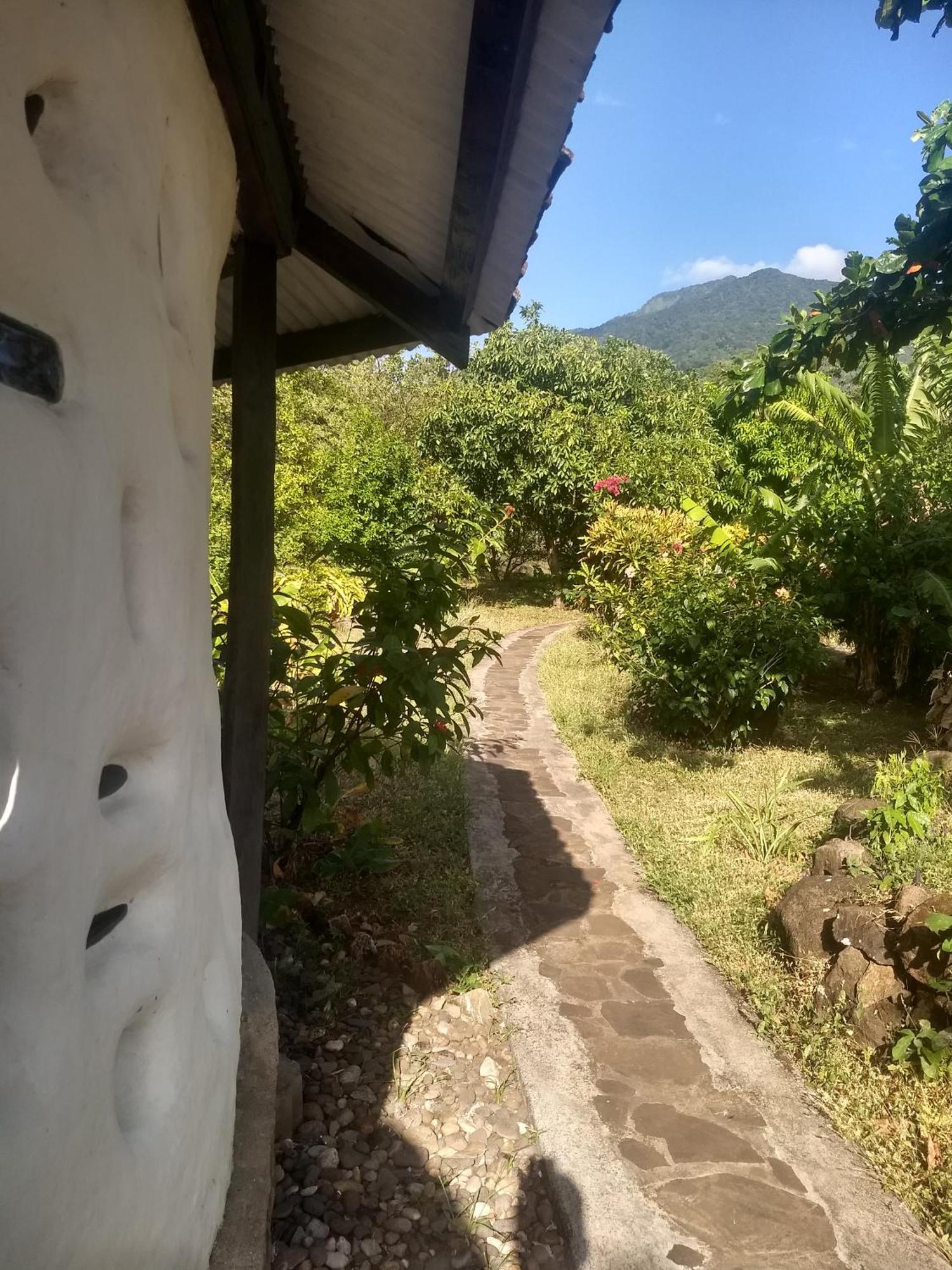 Finca Mystica Mérida Rum bild