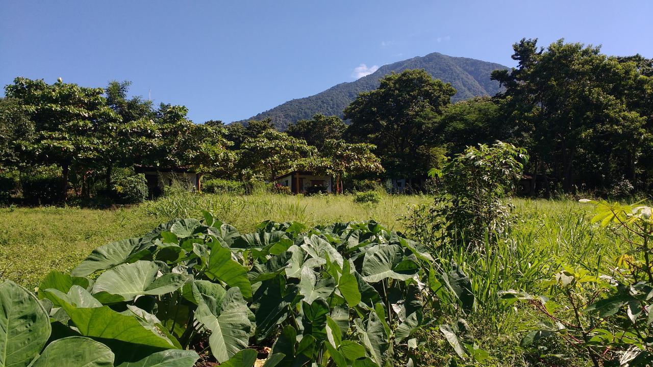 Finca Mystica Mérida Exteriör bild